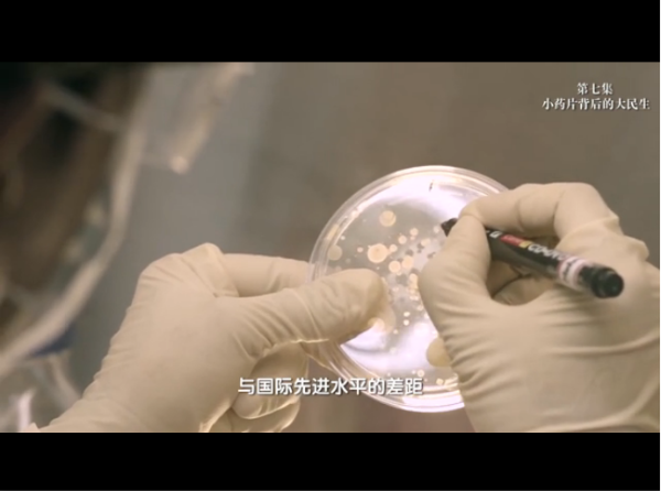 點(diǎn)擊查看視頻