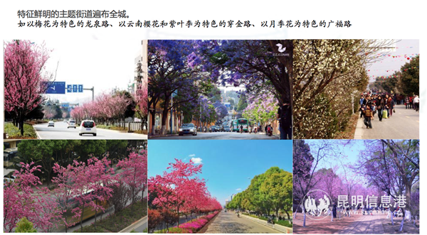 屏幕快照 1 屏幕快照 1