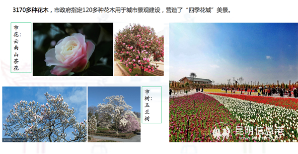 屏幕快照 2 屏幕快照 2