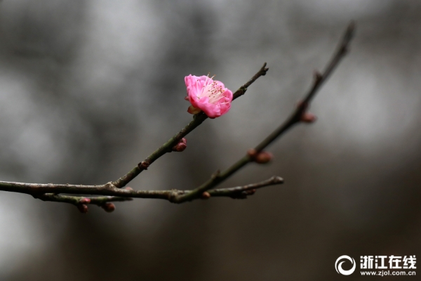 1123904907_15457848437561n