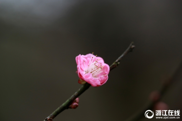 1123904907_15457848437681n