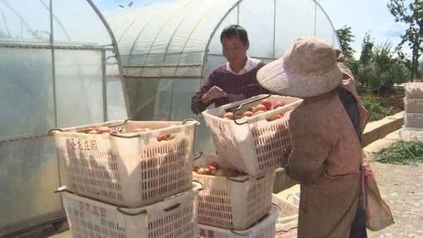 20181225074124_a67eef8313404d27425f43a88342bba1_8