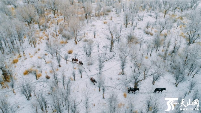 1997f6d5e9c34075954ebf5004682fc8