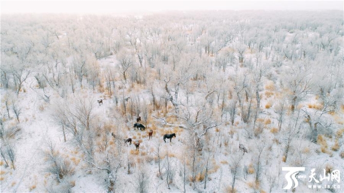 6d9ad581a57a4660948e34d9a049bce6