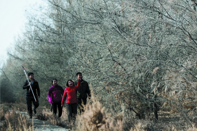 00350670337_30371a6a 00350670337_30371a6a