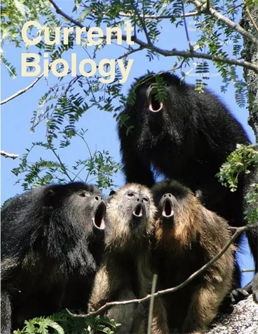 640.webp (1) 640.webp (1)