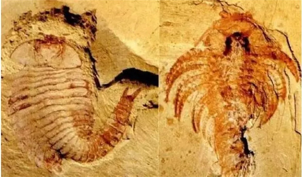 640.webp (4) 640.webp (4)