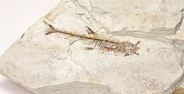 640.webp (5) 640.webp (5)