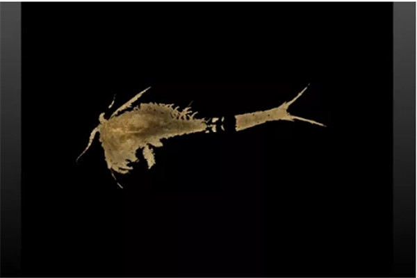 640.webp (6) 640.webp (6)