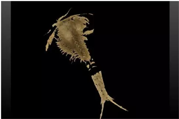 640.webp (7) 640.webp (7)