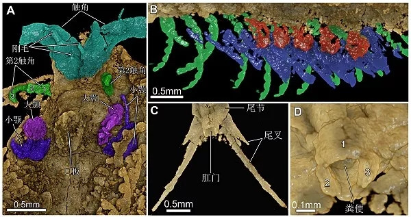 640.webp (8) 640.webp (8)