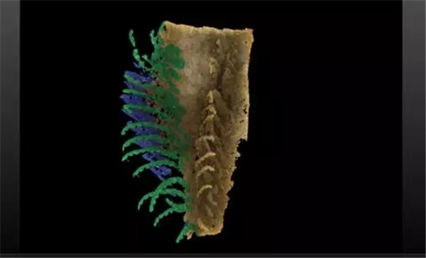 640.webp (9) 640.webp (9)