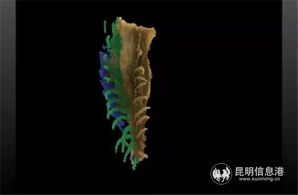 640.webp (10) 640.webp (10)