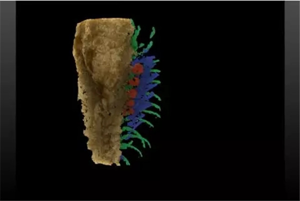 640.webp (11) 640.webp (11)