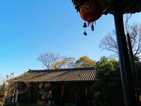 15459605004765254_29114841_H1920