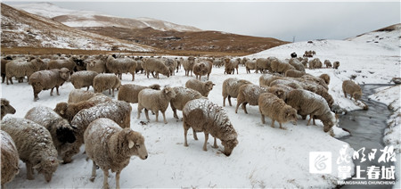 5c2719a217af5.jpg 5c2719a217af5.jpg