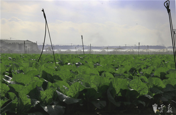 20181229034132448 20181229034132448