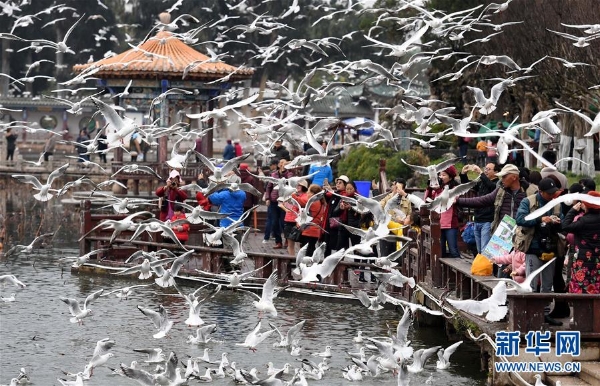 137713992_15463939217331n 137713992_15463939217331n