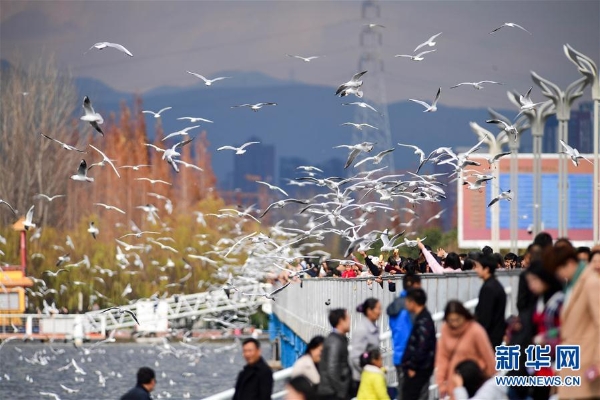 137713992_15463939217901n 137713992_15463939217901n