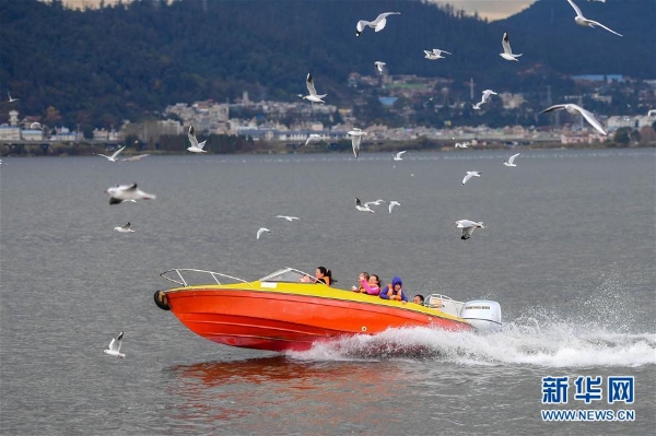 137713992_15463939218831n 137713992_15463939218831n