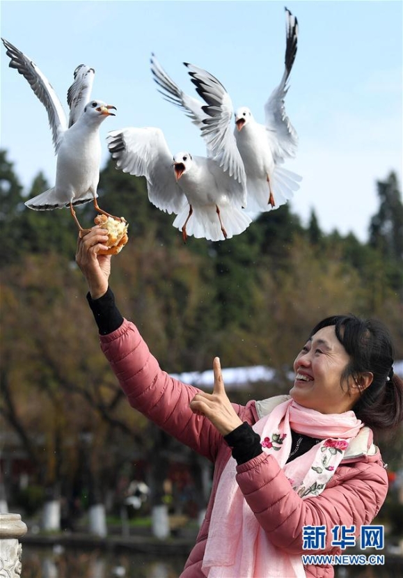 137713992_15463939216271n 137713992_15463939216271n