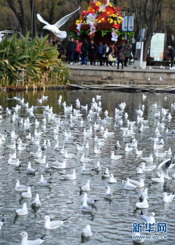 137713992_15463939216751n 137713992_15463939216751n