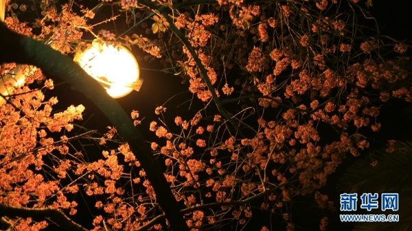 137704738_15459852877161n