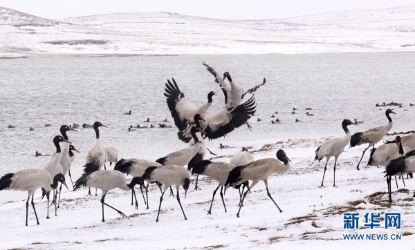 137714163_15463962760581n