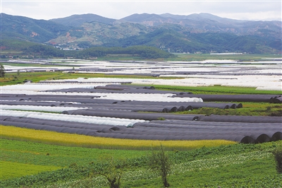 會(huì)澤 會(huì)澤