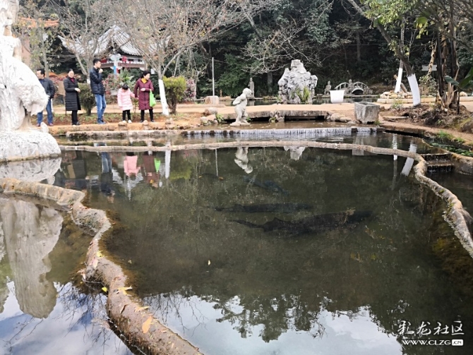 15459890887253988878306608515_153 15459890887253988878306608515_153