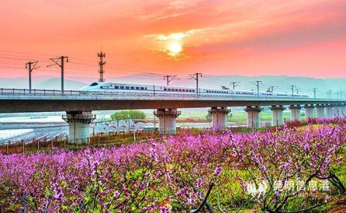 高鐵飛速行駛。柴保輝攝