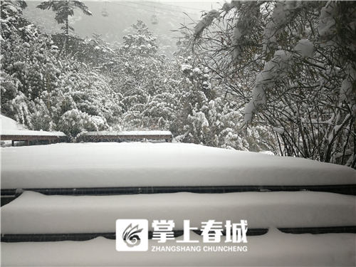 5c341c921d2ed 5c341c921d2ed