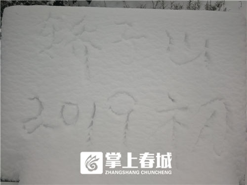 5c341c911290b 5c341c911290b