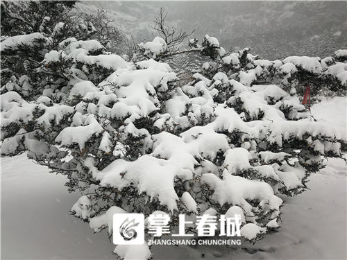 5c341ca537fde 5c341ca537fde