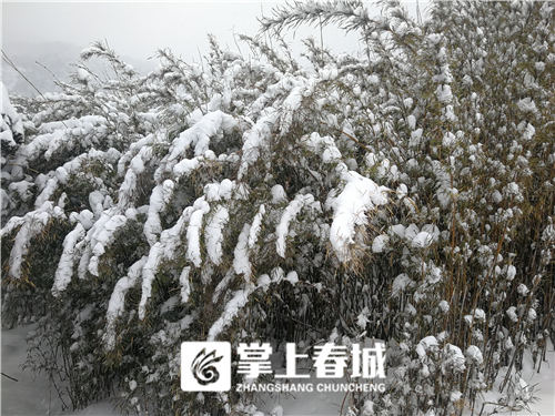 5c341ca58178a 5c341ca58178a