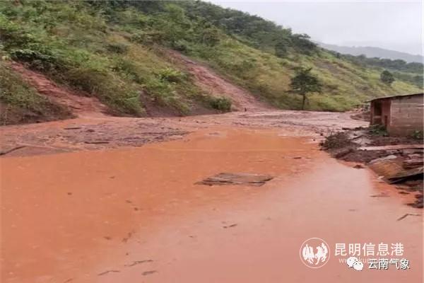 5c35b5c53402d 5c35b5c53402d