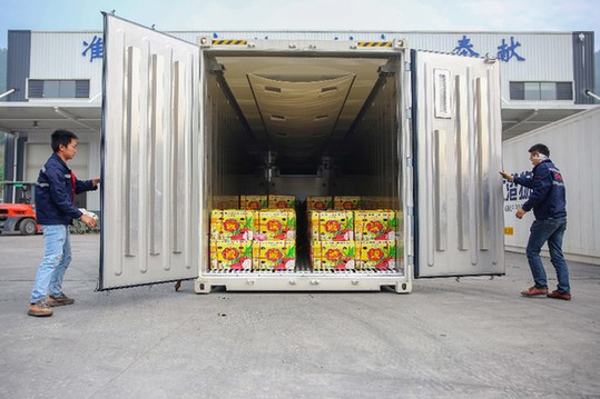 137735731_15471686870381n 137735731_15471686870381n