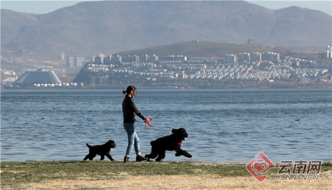 00300321702_f158e6ed