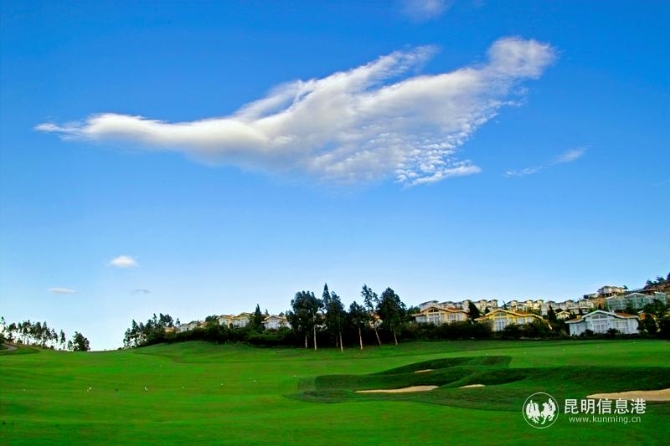 YZH0521《筑巢引鳳》 YZH0521《筑巢引鳳》