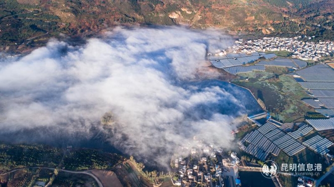 YZH0448《草海晨曦》 YZH0448《草海晨曦》