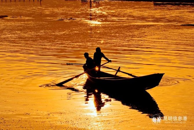 YZH0146捕 YZH0146捕