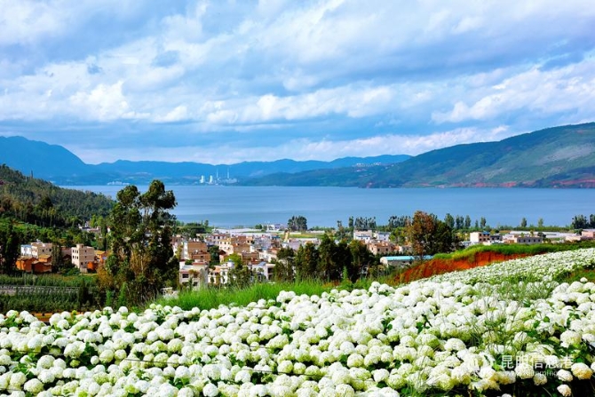 2..姓名:徐定忠 作品名稱(chēng)《俊美陽(yáng)宗》拍攝地點(diǎn):陽(yáng)宗南國(guó)莊園 聯(lián)系電話:15987109082 2..姓名:徐定忠 作品名稱(chēng)《俊美陽(yáng)宗》拍攝地點(diǎn):陽(yáng)宗南國(guó)莊園 聯(lián)系電話:15987109082