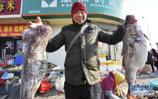 1123994816_15475605679221n 1123994816_15475605679221n