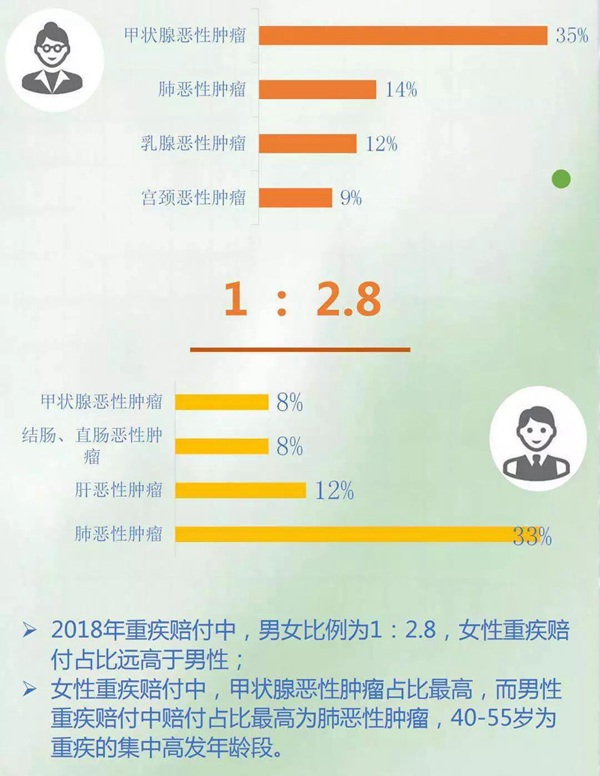 男女對(duì)比分析 男女對(duì)比分析