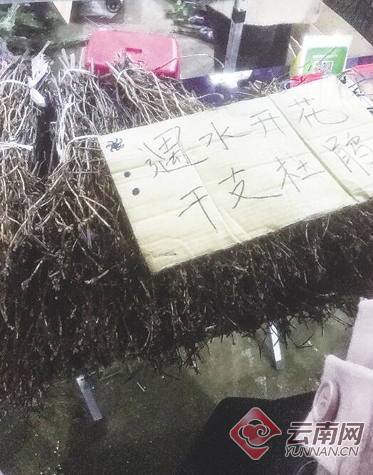 00300342042_251142d3 00300342042_251142d3