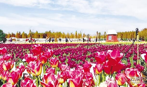 00300345209_5f805f1b 00300345209_5f805f1b