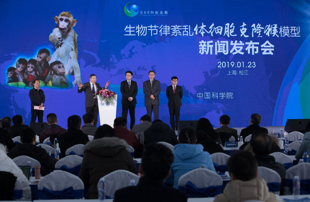 cfe997de16bf40f08f713f7f29a3bb37.jpg@640w_1e_1c_80Q_1x cfe997de16bf40f08f713f7f29a3bb37.jpg@640w_1e_1c_80Q_1x