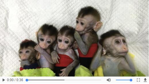 QQ截圖20190124125235 QQ截圖20190124125235