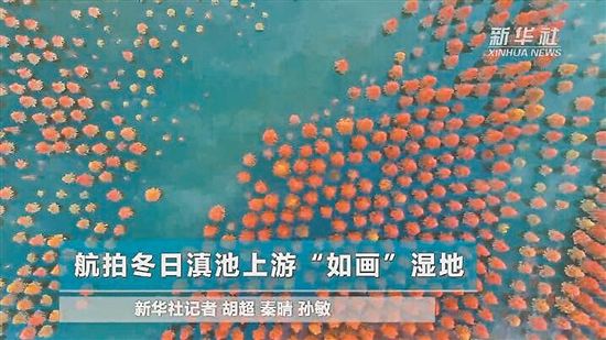 2019012505_res39_attpic_brief 2019012505_res39_attpic_brief