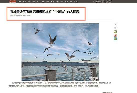 2019012505_res43_attpic_brief 2019012505_res43_attpic_brief